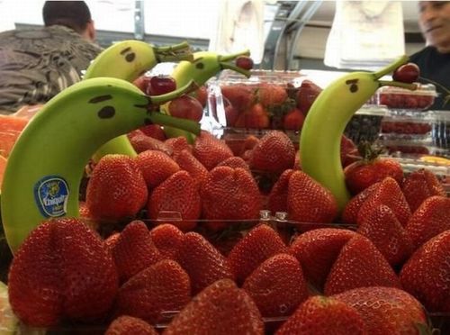 bananas, grocery store, art, wtf, lol, strawberries