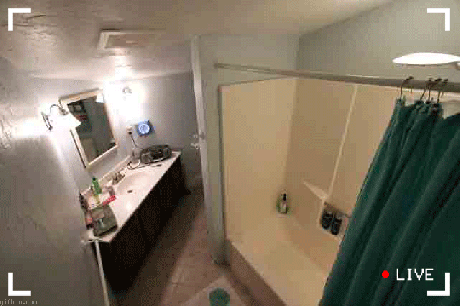 gif, live cam, shower