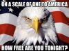 pick up line, on a scale one to america, how free are you?