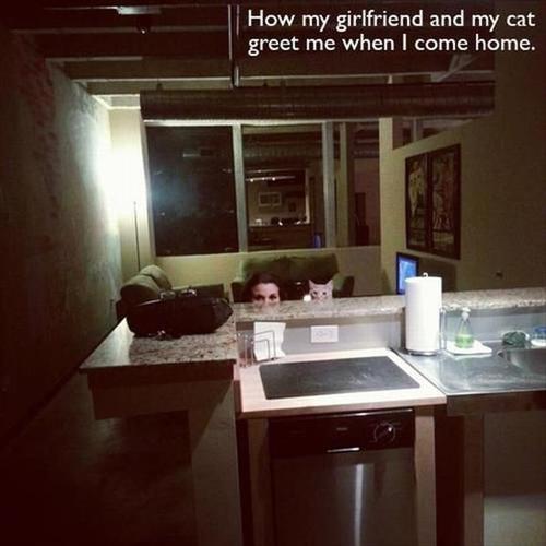 girlfriend, cat, greeting