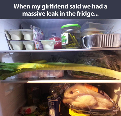 massive leak in the fridge, meme, literal