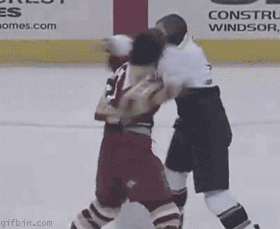 gif, hockey knock out