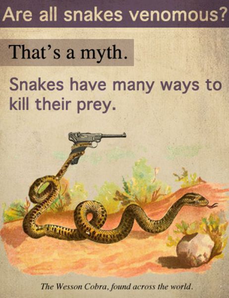 snakes, deadly weapon, gun, wtf, venomous, wesson cobra