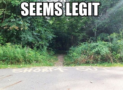 seems legit, short cut, forest