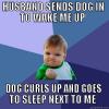 husband sends dog in to wake me up, dog curls up and goes to sleep next to me, win kind, meme