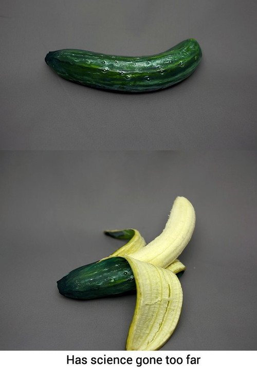 has science gone too far, cucumber banana