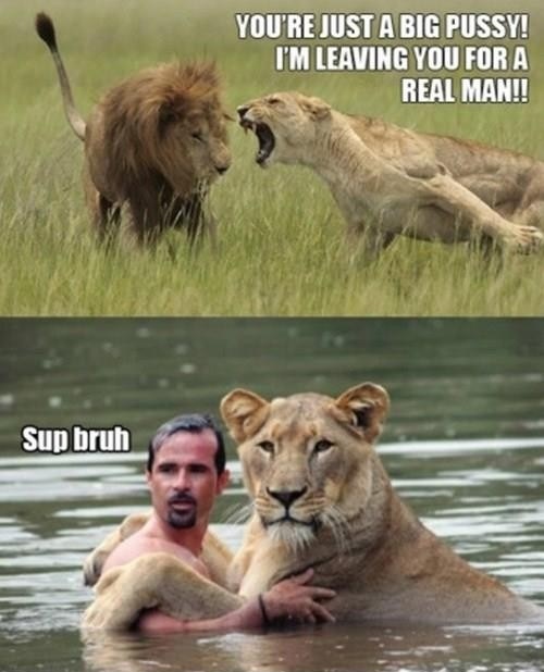 lion, leaving you for a real man