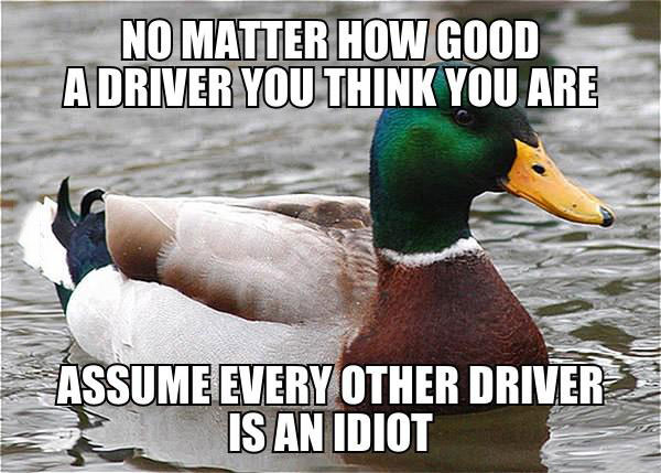 actual advice mallard, meme, driving, assume every other driver is an idiot