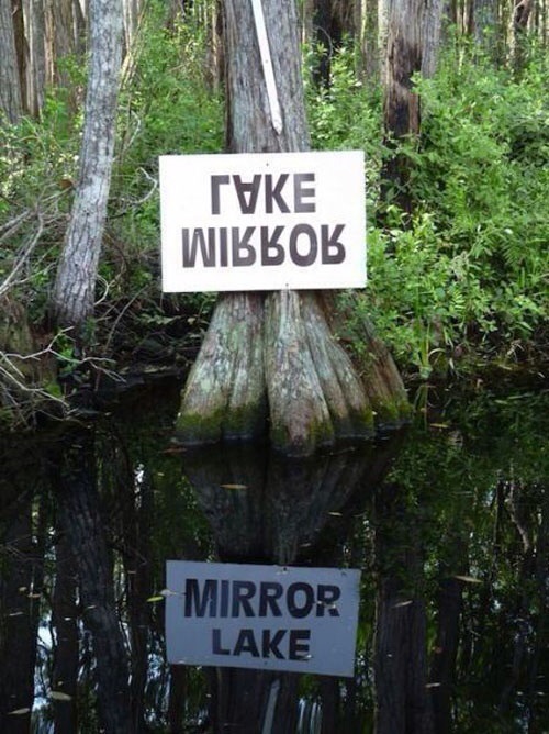 mirror lake, cool