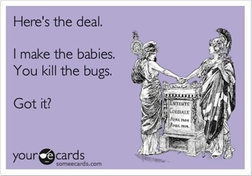 ecard, here is the deal, make babies, kill bugs