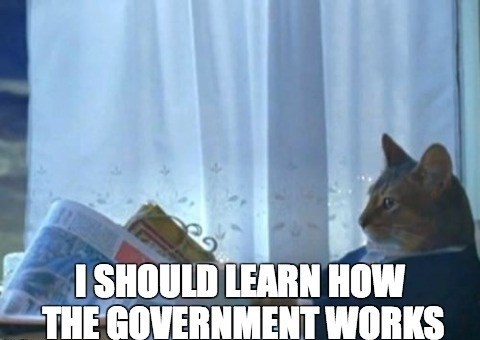 cat, meme, should learn how the government works