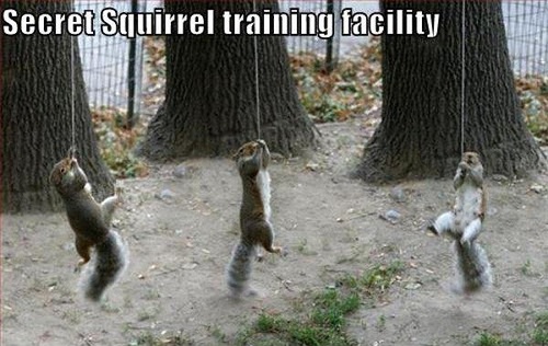 secret squirrel training facility