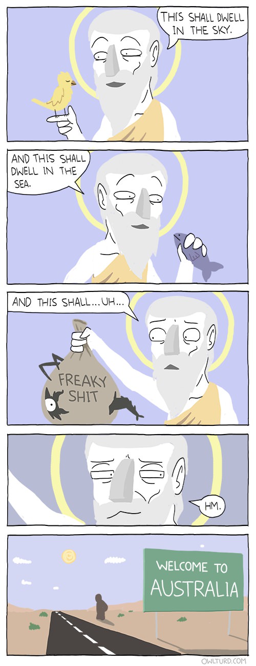 god, creatures, australia