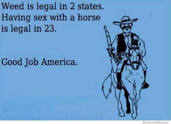 ecard, weed, sex with a horse, 'murica