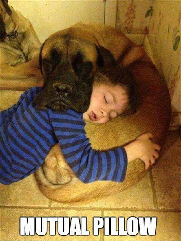 mutual pillow, kid sleeping on dog who has his head on the kid