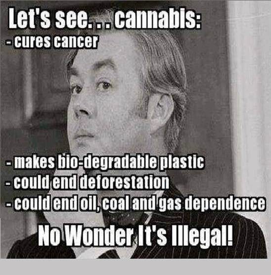 cannabis, no wonder it's illegal