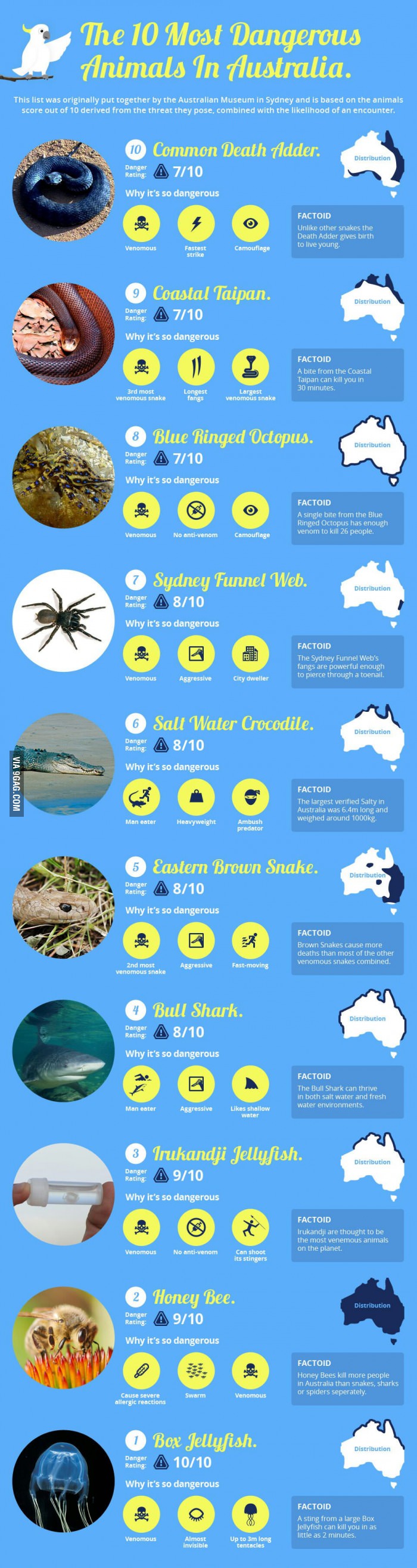 10 most dangerous animals in australia, chart, information, dyk