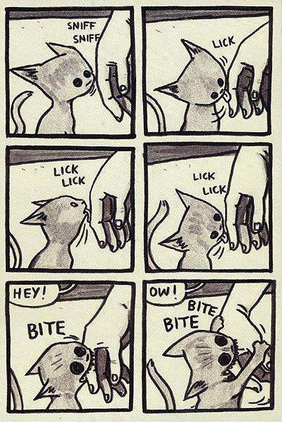 cat, comic, sniff, bite, oww