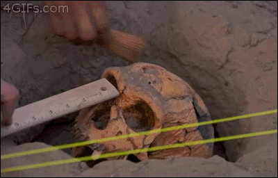 archeology, hammer to skull, wtf, gif, fail