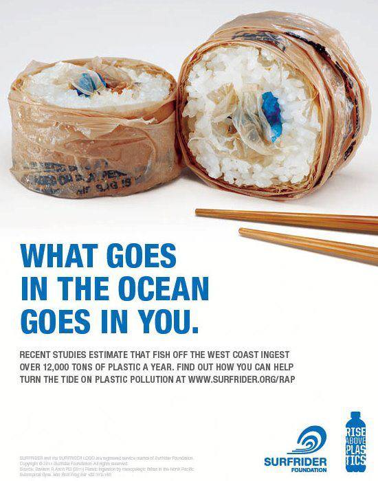 what goes into the ocean goes in you