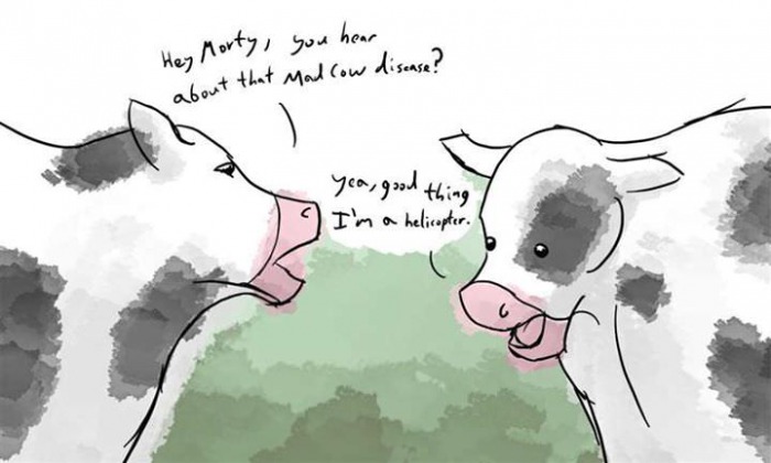 hey monty you hear about that mad cow disease?, yeah good thing I'm a helicopter