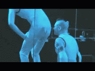 ass, smell, correct, gif, lol, fail, troll