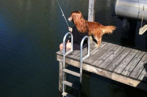 optical illusion, wtf, perspective, dog, woman, hair, lol, fishing