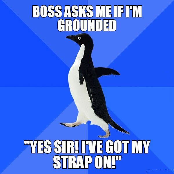 boss asks me if I'm grounded, yes sir I've got my strap on, socially awkward penguin, electrostatic charge, meme
