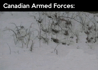 canadian armed forces, snow, half naked, lol, gif