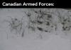 canadian armed forces, snow, half naked, lol, gif