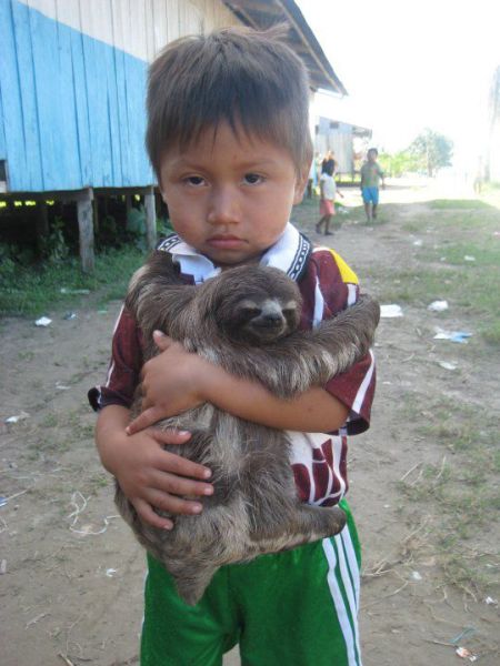 kid, sloth, hug