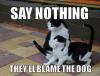 meme, cat, say nothing, they'll blame the dog