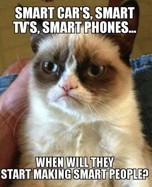 smart people, grumpy cat, meme