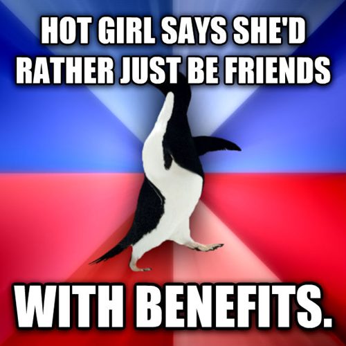 socially awkward penguin, friends with benefits, meme