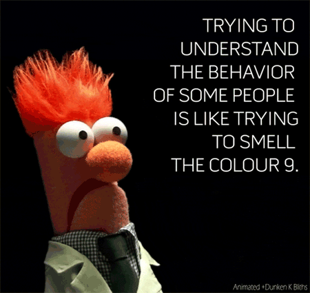 gif, trying to understand the behaviour of some people is like trying to smell the colour 9
