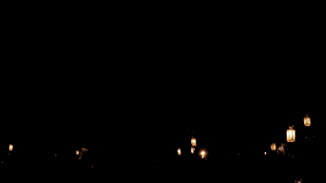 wow, fireworks, gif, dog