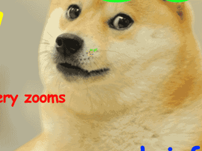 dog, captions, much infinity, gif