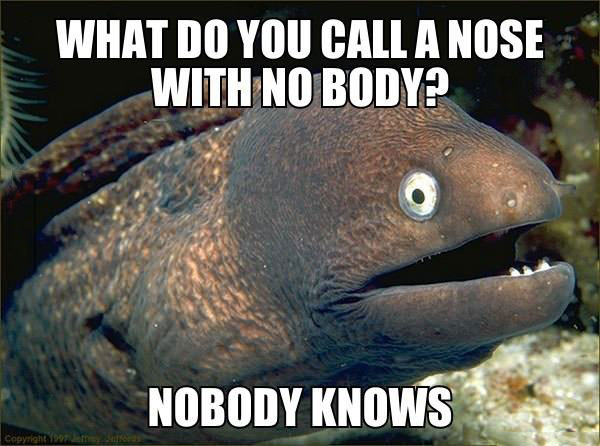 fishy pun, meme, what do you call a nose with no body, nobody knows