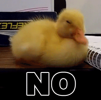 gif, duck, no
