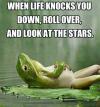 frog, when life knocks you down, roll over, and look at the stars