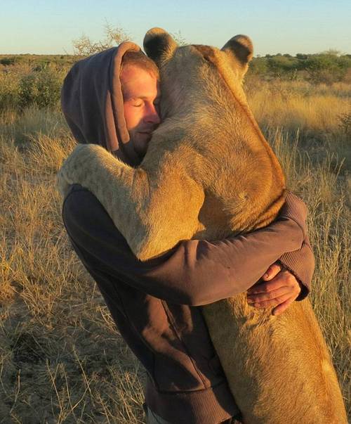 lion, man, hug