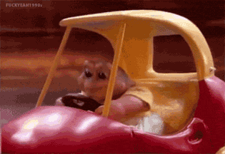 dinosaurs, baby, gif