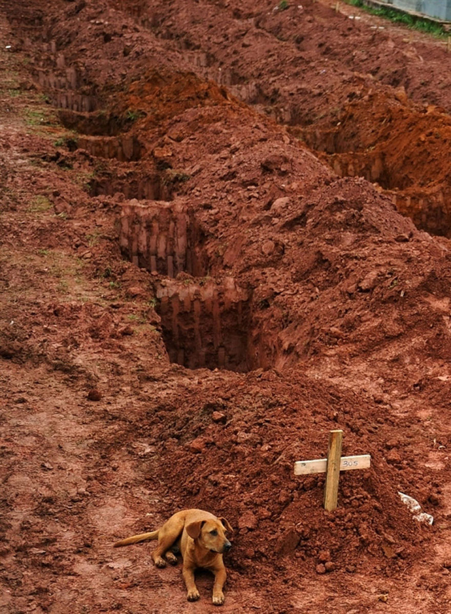 powerful images, world, society, extreme situations - Nov 08 2013 01:13 PM powerful images, world, society, extreme situations