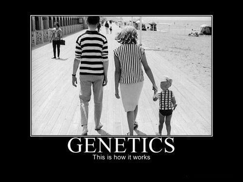 motivation, genetics, shirt, stripes, lines, plaid