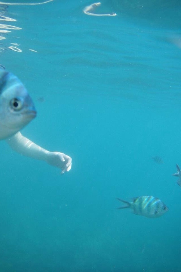 perspective, scuba, under water photo, arm, fish boy