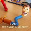 woody, snake in my boot, action figure, wtf