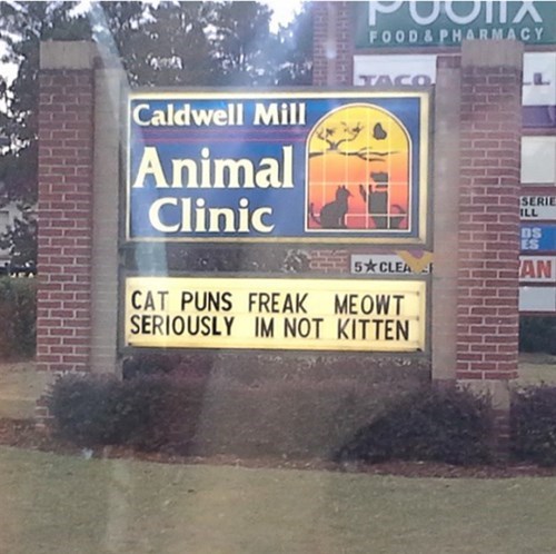 cat puns freak meowt, sign, veterinarian, seriously I'm not kitten