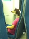 optical illusion, wtf, dog on bus, sleeping woman, perspective