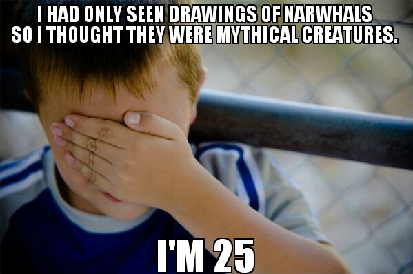 narwhals, naive kid, fail, meme