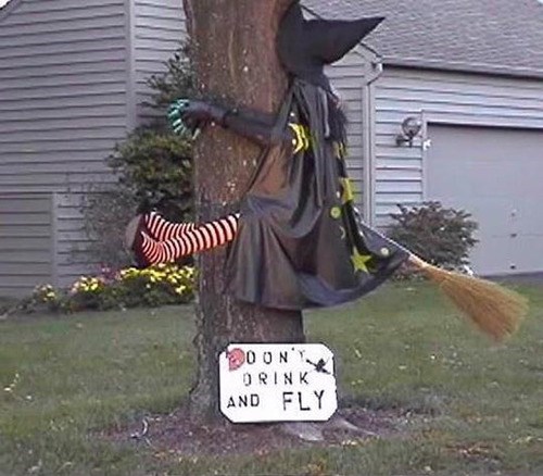 don't drink and fly, halloween, witch, tree
